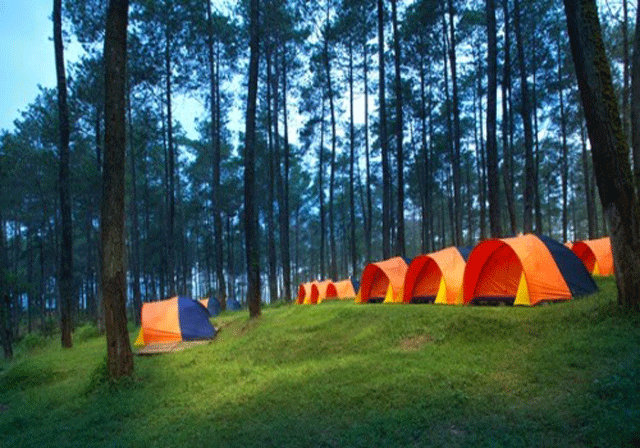 6 Camping Ground Keren Ini Ada di Sekitar Jakarta 