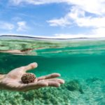 cara membuat foto split underwater