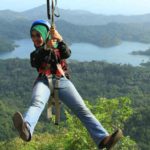 flying fox