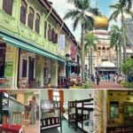 hotel-murah-singapore-green-kiwi