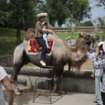 kebun binatang korea utara