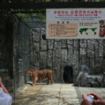 kebun binatang korea utara