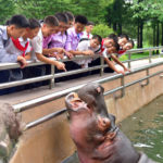 kebun-binatang-korea-utara2