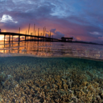 cara membuat foto split underwater