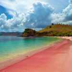 wisata-NTT-pink-beach