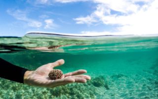 cara membuat foto split underwater