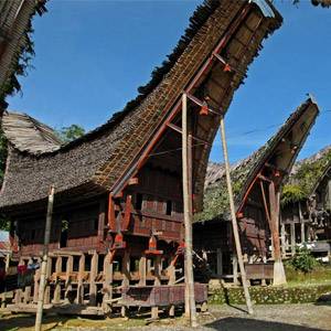 Rumah Adat Di Indonesia Phinemo