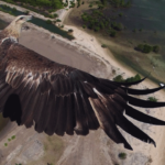 hasil foto drone