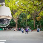 alaan mengapa jepang layak jadi tujuan wisata