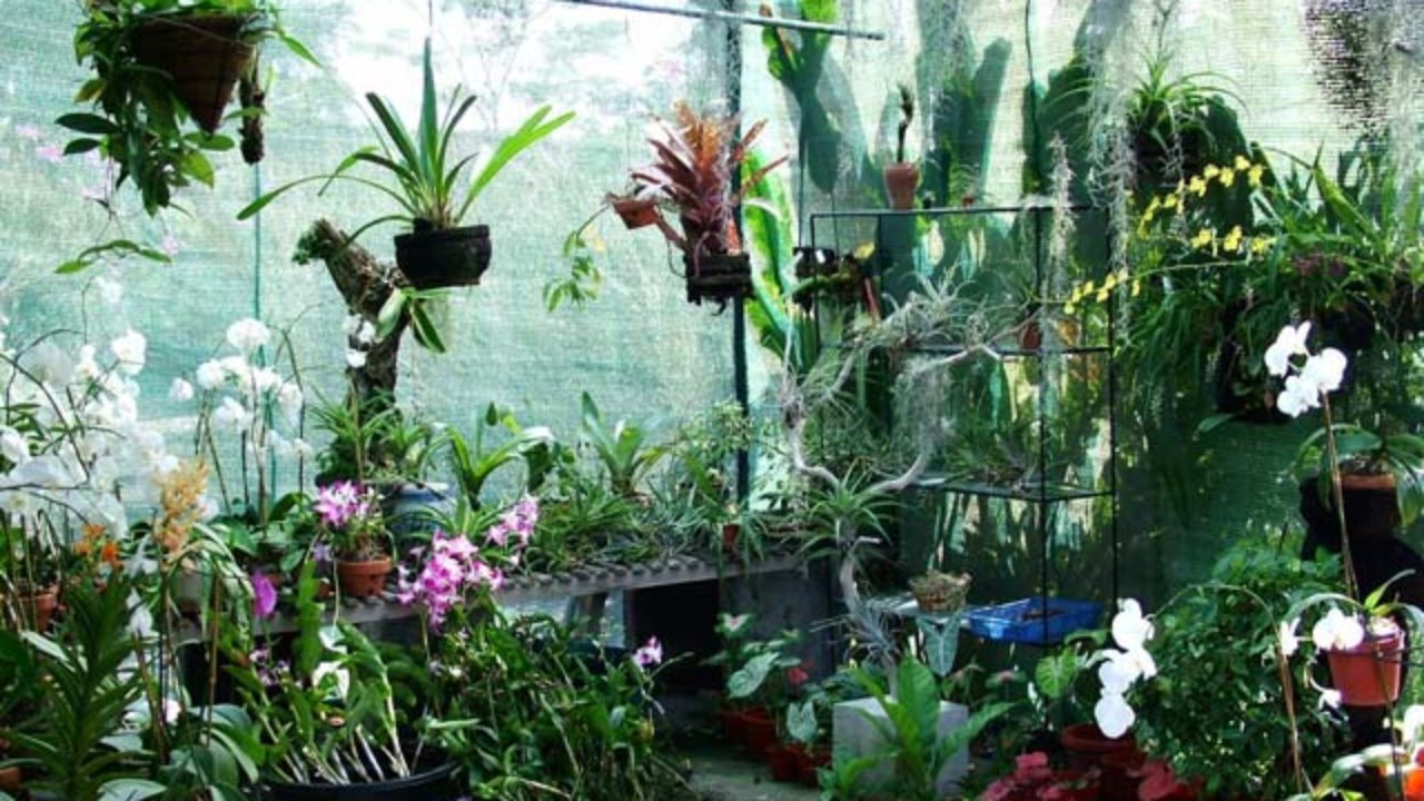 Ini Alasan Mengapa Kamu Perlu Coba Mampir Orchid Garden Saat