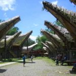 rumah adat tana toraja