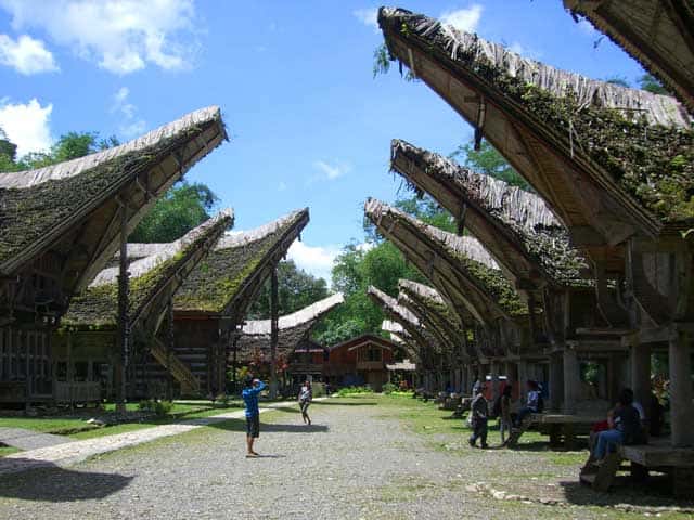rumah adat tana toraja 
