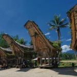 rumah adat tana toraja