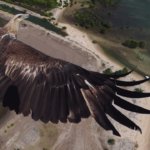 hasil foto drone