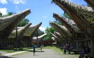 rumah adat tana toraja