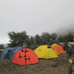 cozmeed gathering