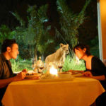 bali safari & marine park