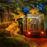 Bali Safari & Marine Park