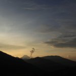 cozmeed gathering