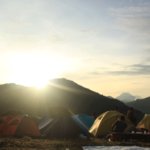 cozmeed gathering