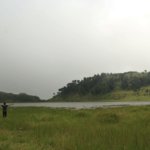 cozmeed gathering