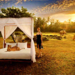 bali safari & marine park