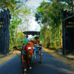 destinasi wisata sekitar magelang