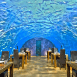 restoran teraneh di dunia