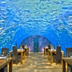 restoran teraneh di dunia