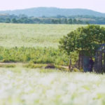 tempat syuting goblin