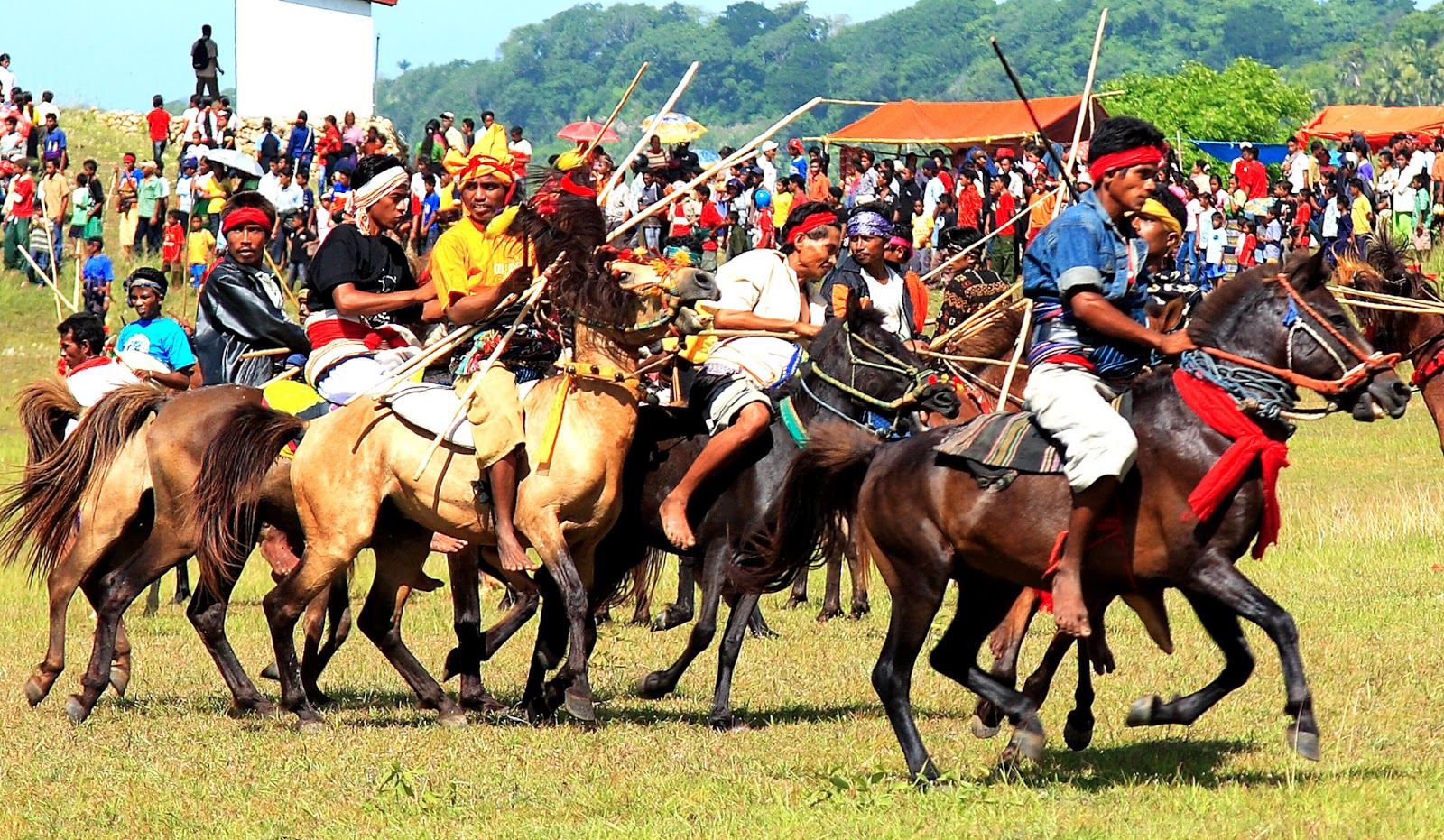 Festival Seribu Kuda | Sumber: Phinemo
