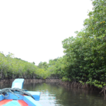 wisata pulau mandeh