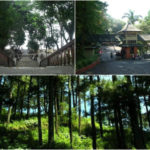 spot hammocking di jawa tengah