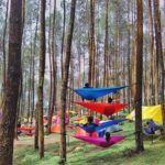 spot hammocking di jawa tengah