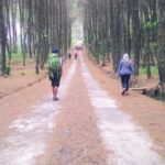 spot hammocking di pulau jawa