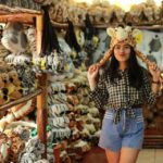 Taman Safari Wonders