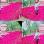 foto liburan yang dibully