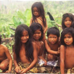 suku pedalaman indonesia