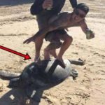 foto liburan di bully