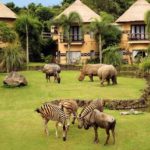 taman safari bali marine