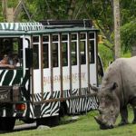 taman safari indonesia