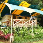 taman safari indonesia