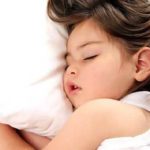 taman nasional way kambas siap buka safari malam