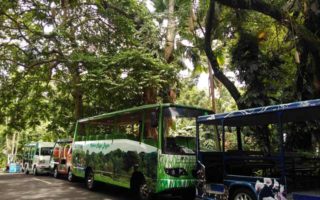Ternyata Bogor Jauh dari Bayangan Saya Sebelumnya Kebun Raya Bogor
