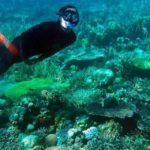 pulau labengki miniatur raja ampat