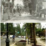 Desain-tanpa-judul-(6)