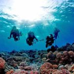 taman laut Indonesia