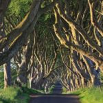 tempat syuting transformers the last knight