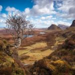 tempat syuting transformers the last knight