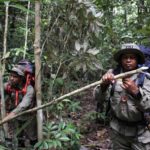 ranger-gunung-leuser-dua